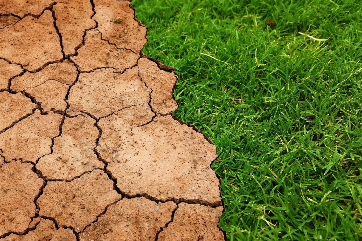 <span>News</span>Drought, here are the rules for dealing with the emergency